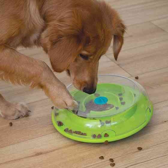 Интерактивная игрушка головоломка Лабиринт с кормом для собак Nina Ottosson Dog Wobble Bowl (Нина Оттоссон) Запорожье