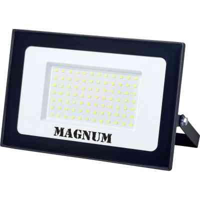 Прожектор MAGNUM FL12 ECO LED 100Вт slim 6500К IP65 (90018087) Винница