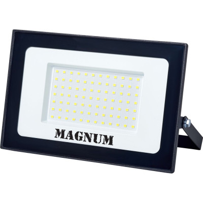 Прожектор MAGNUM FL12 ECO LED 100Вт slim 6500К IP65 (90018087) Вінниця - фото 1