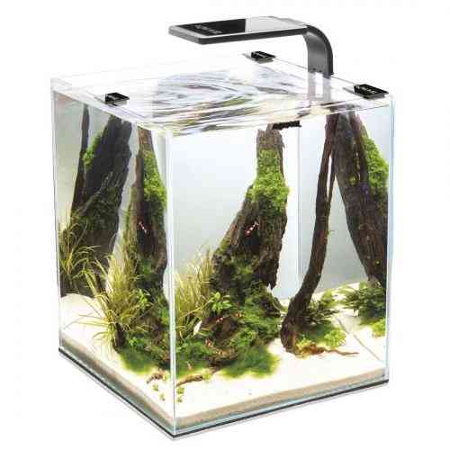 Акваріум Aquael Smart Day Night для креветок чорний прямий 30 л Київ