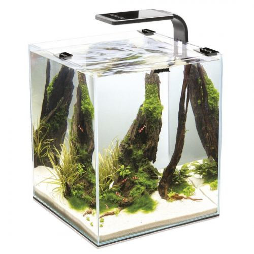 Акваріум Aquael Smart Day Night для креветок чорний прямий 30 л Київ - фото 1