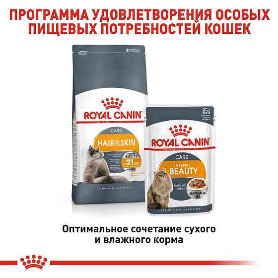 Royal Canin Intense Beauty Gravy (Роял Канін Інтенс Б'юті) вологий корм для кішок для шкіри та шерсті від 12 міс. 0.085 кг. х 12 шт. Запоріжжя