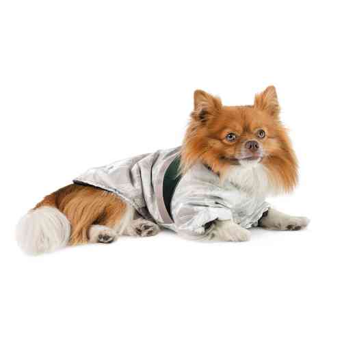Куртка для собак Bony Pet Fashion, ХХS белый, зеленый Киев
