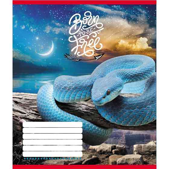 Тетрадь ученическая 