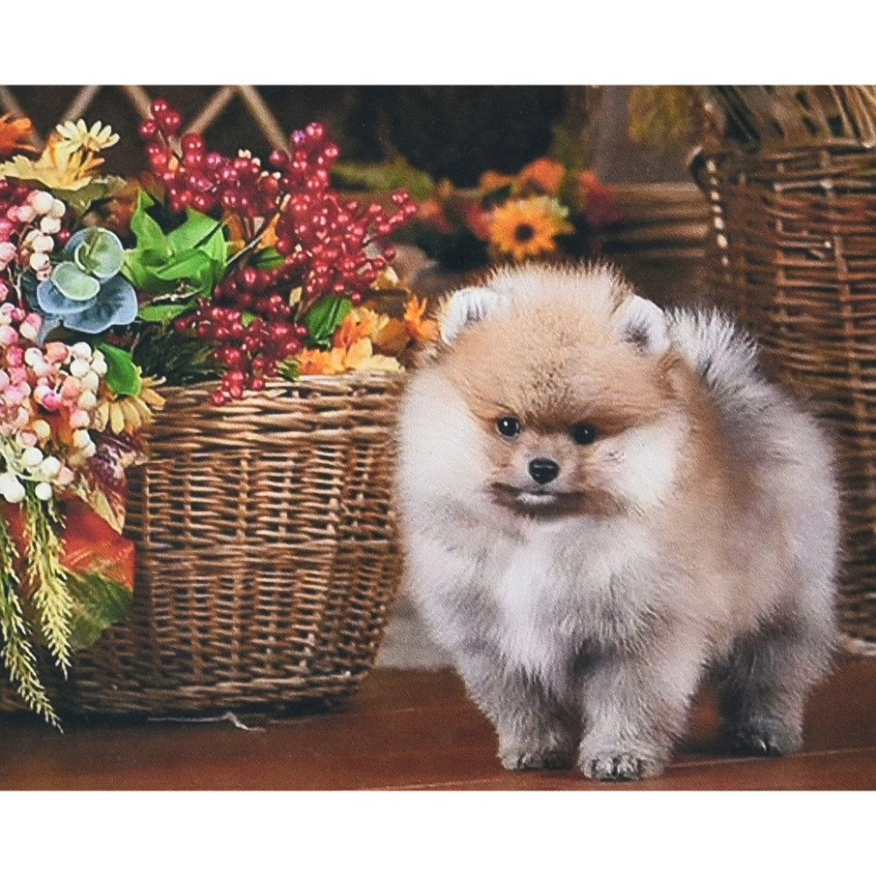 Алмазна мозаїка "Песик біля кошика" HEG87073 30х40 см Вінниця - фото 1