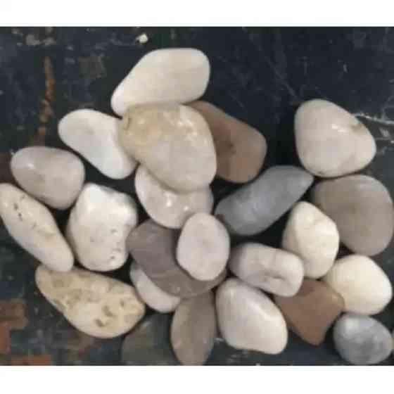 Набір декору для електричного каміна Napoleon 32/38″ (Дерев''яні коряги та річкова галька) Код: 010726 Ровно