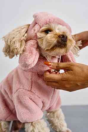 Шапка ушанка для собак меховая зимняя Dogs Bomba теплые ушки 3 Пудра Одесса
