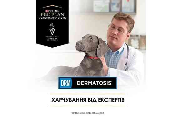 Сухий дієтичний корм PRO PLAN VETERINARY DIETS DRM Dermatosis для цуценят та дорослих собак для підтримання функції шкіри при дерматозах та надмірному Київ