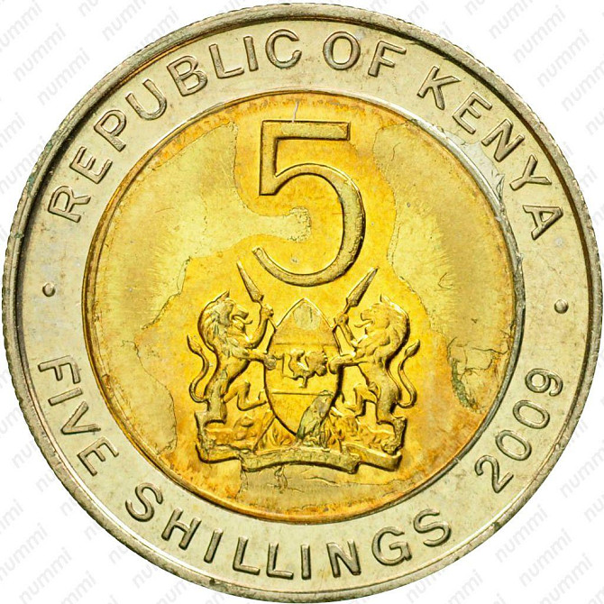 Kenya Кения 5 Shillings 2010 UNC Полтава - изображение 1