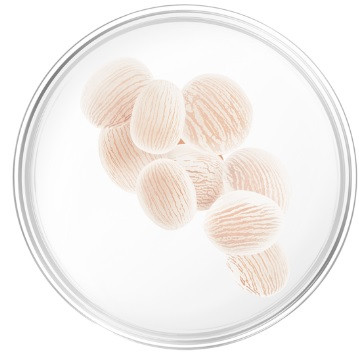 БІО-Шампунь Sensitive Care для захисту чутливої шкіри голови з пробіотиками SANTE 500 мл Київ - фото 2