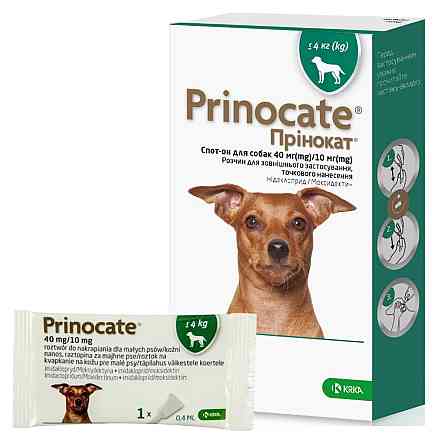 Крапли Принокат (Prinocate) для собак от внешних и внутренних паразитов до 4 кг (1 пипетка 0,4 мл) KRKA срок до 01.26 Винница