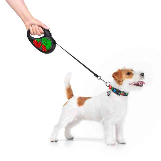 Повідець-рулетка для собак WAUDOG R-leash, малюнок "Калина", M, до 25 кг, 5 м, світловідбиваюча Коломыя