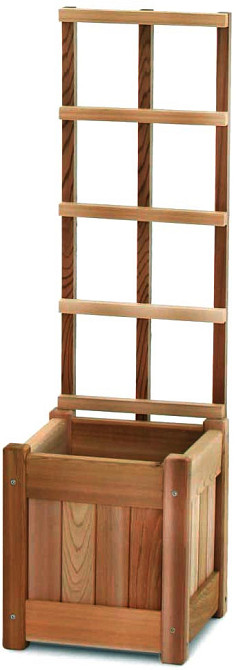 Кашпо зі шпалерою "Дунга" мускат Миколаїв - фото 1