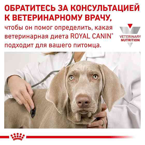 Royal Canin Recovery (Роял Канін Рекавері) вологий корм для собак і кішок для відновлення після хвороби 0.195 кг. х 12 шт. Запоріжжя