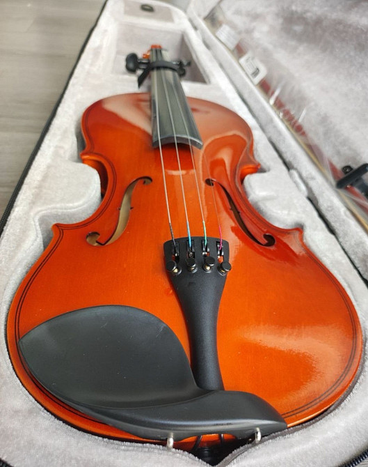Скрипка (новая) 4/4 в футляре. Харьков - изображение 4