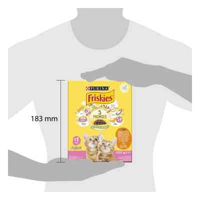 Сухий корм для кішок Purina Friskies Junior з куркою, молоком і овочами 300 г (7613031868360) Вінниця