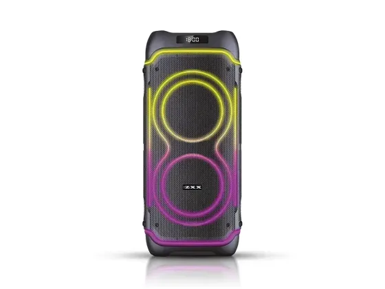 Акустична переносна колонка ZXX-5530 80Вт 2x8" TWS/FM/USB/TF/BT/REC/LED/2MIC/ДК Київ