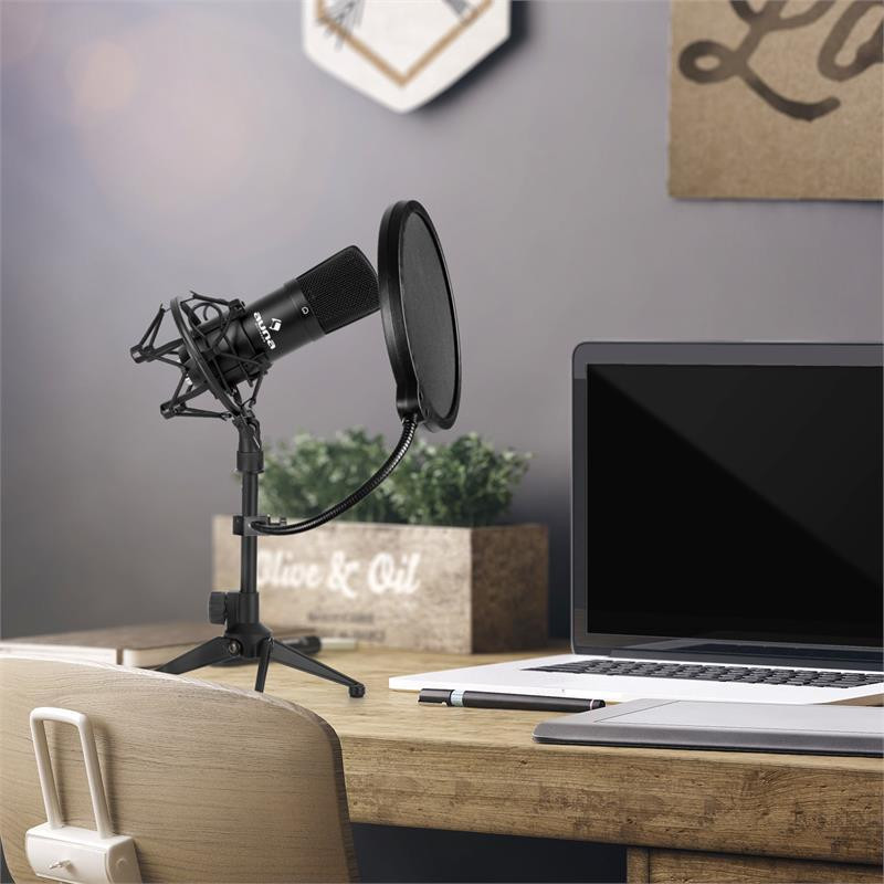 CM001B Набор микрофонов Конденсаторный микрофон V2 Стойка для микрофона с защитой от поп-музыки черный Ровно - изображение 2