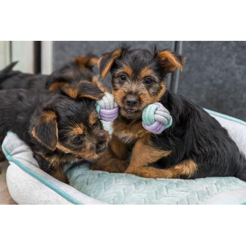 Іграшка Trixie Гантель плетена для собак, 15 см (текстиль) Київ - фото 4