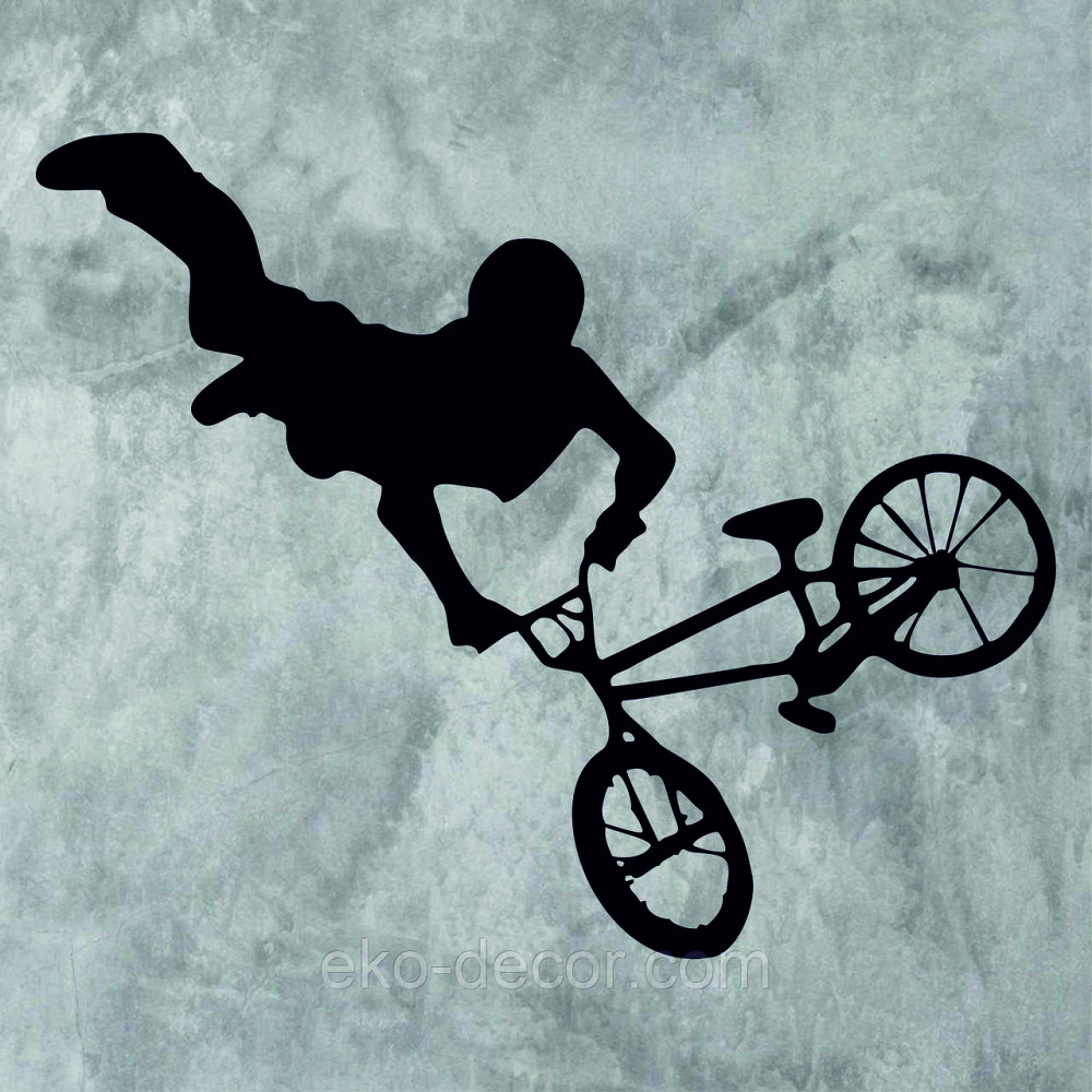 Декоративне настінне Панно «Велофрістайл», Декор на стіну Київ - фото 6
