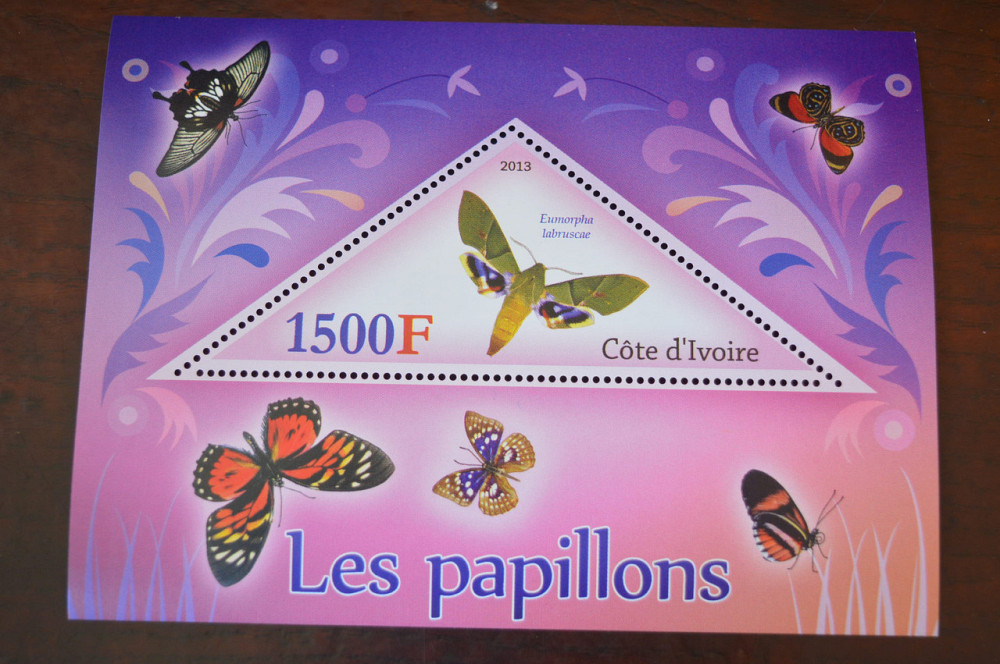 Кот-д' cosin. Фауна. Личности. Блок. 2014 р. (А-34) Полтава - фото 1