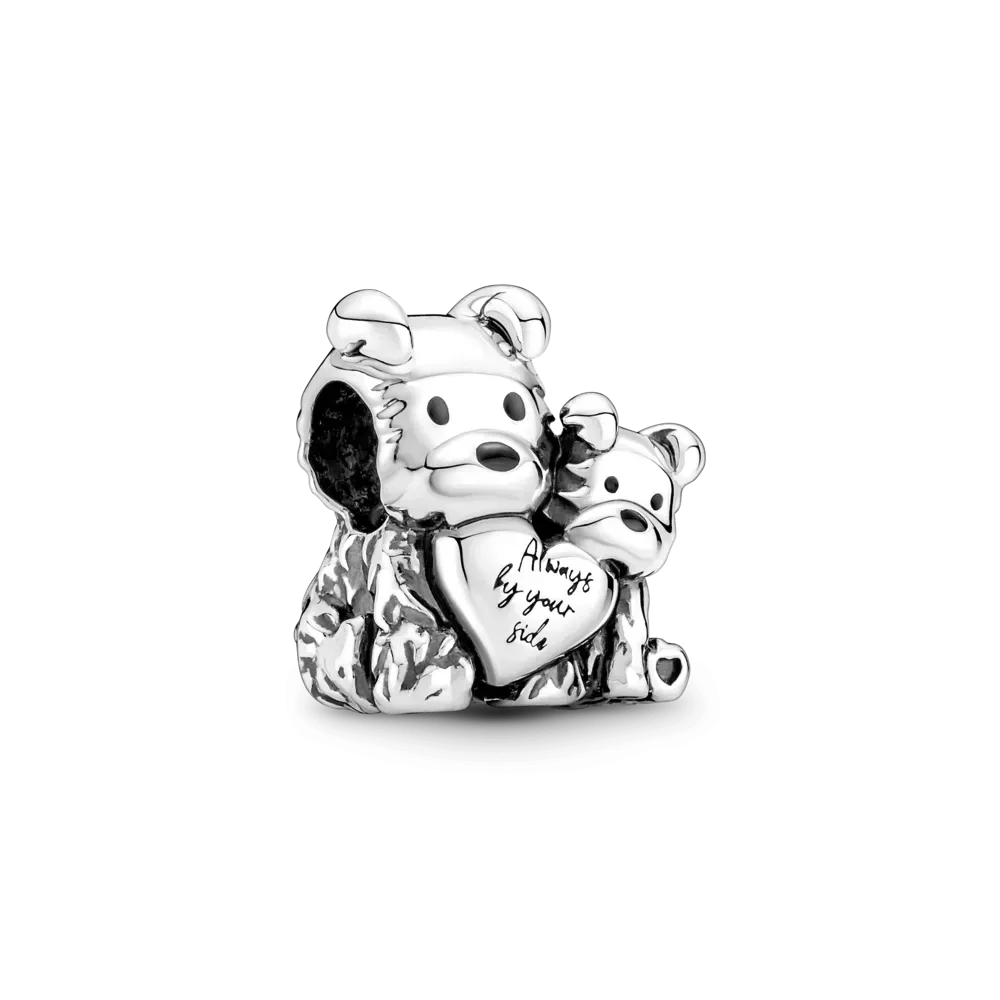 Шарм Пандора Всегда на твоей стороне 790791C01MasterSem Киев - изображение 1