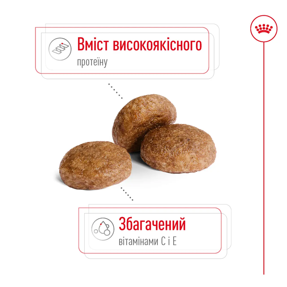 Royal Canin Medium Adult 7+ (Рояв Кенін Медіум Едалт 7+) сухий корм для собак середніх порід від 7 років 4 кг. Запоріжжя - фото 4