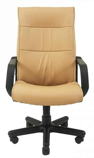 Офісне Крісло Керівника Richman Rio Fly 2201 Пластік М2 AnyFix Темно-бежевий Київ - фото 2