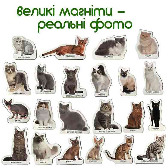 Набор магнитов Magdum 