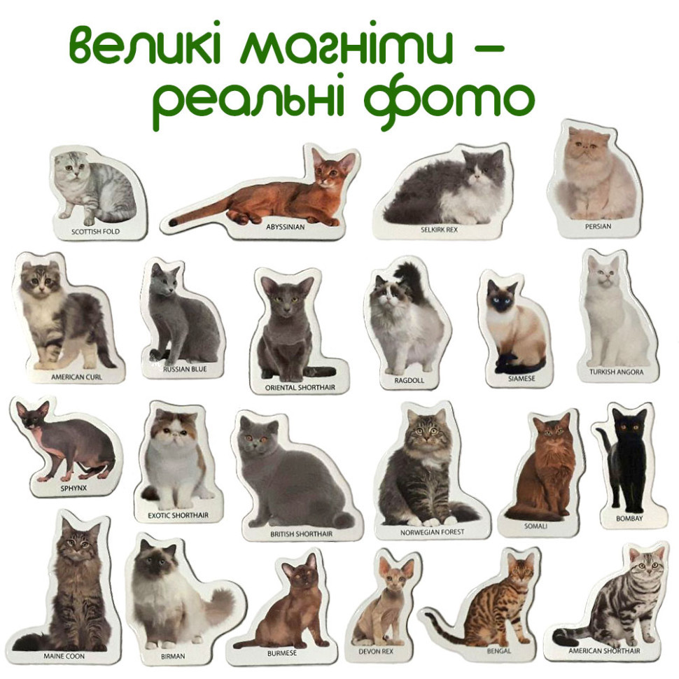 Набор магнитов Magdum 