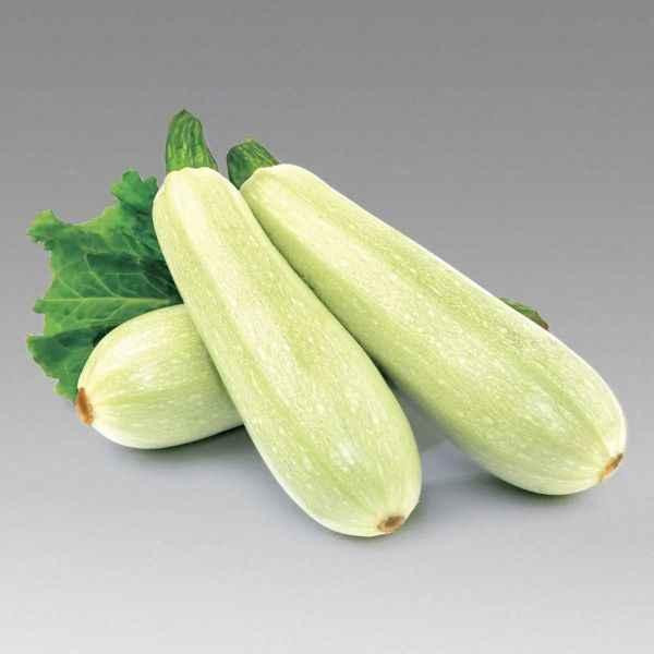 Семена Кабачок Кавили F1 1000 семян NUNHEMS ZADEN Винница - изображение 1