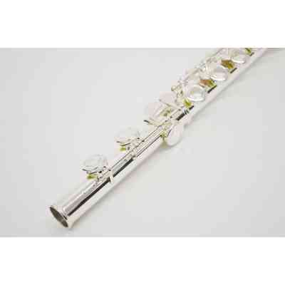 Флейта J.Michael FL-300S Вінниця