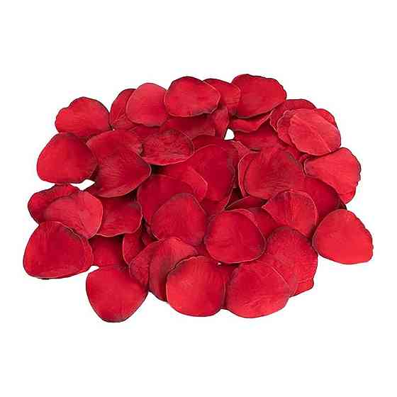 Набір еротичних гаджетів Dream Toys Amour The Hearts of Love, червоний Sex Aura Київ