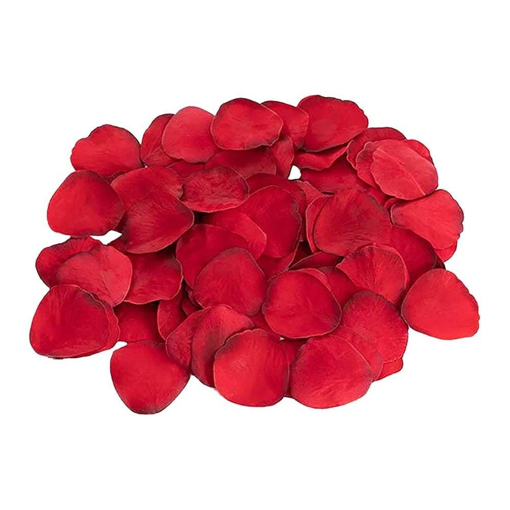 Набір еротичних гаджетів Dream Toys Amour The Hearts of Love, червоний Sex Aura Київ - фото 6