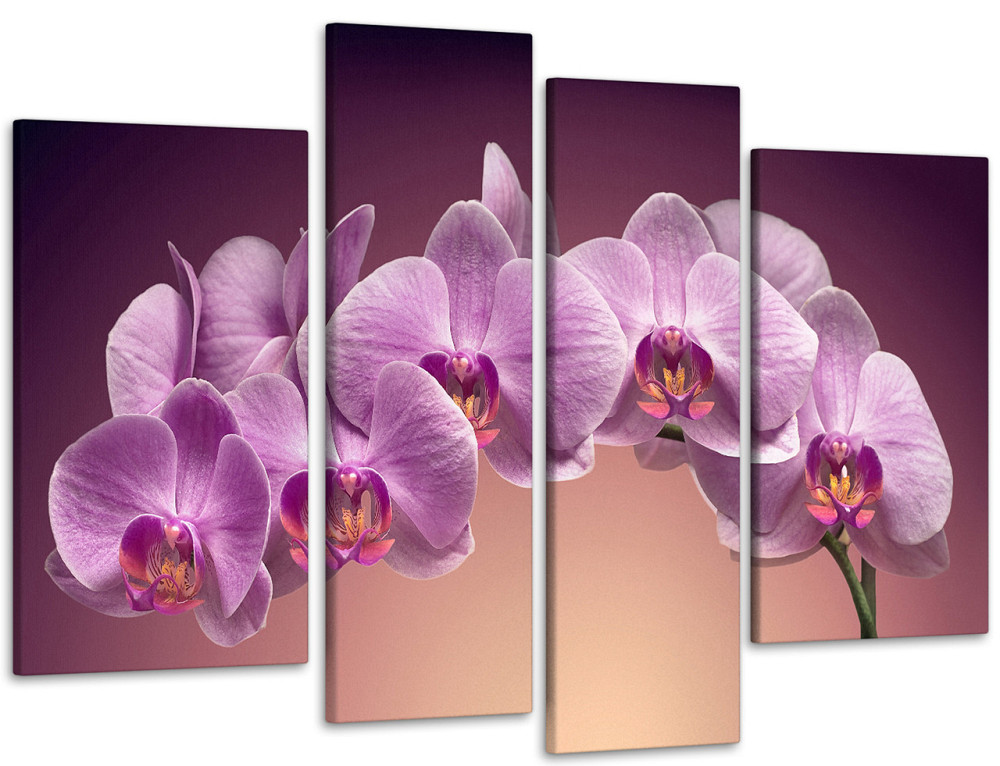 Модульна картина Квіти Весна Art-81_4 Київ - фото 1