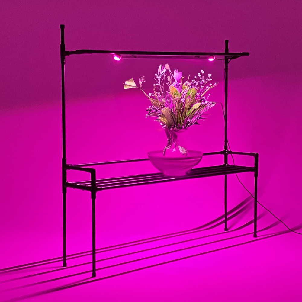 Підставка для квітів на підвіконня Lucia Bicolor з фітолампою. Полиця для квітів на вікно Борисполь - изображение 6