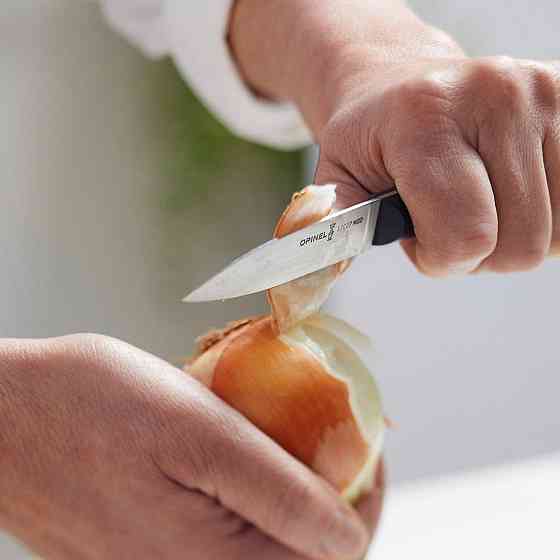 Кухонний Ніж 177 мм Opinel "Knife No225" (001564) Нержавіюча сталь Нововолинськ