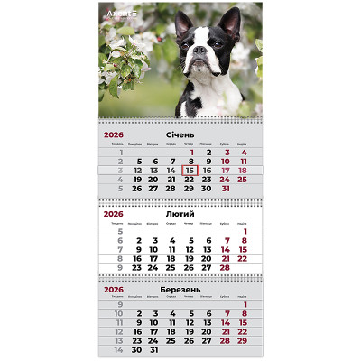 Календарь Axent настенный квартальный 2026 г.,3 пружины Dogs 2 (8803-26-17-A) Винница - изображение 1