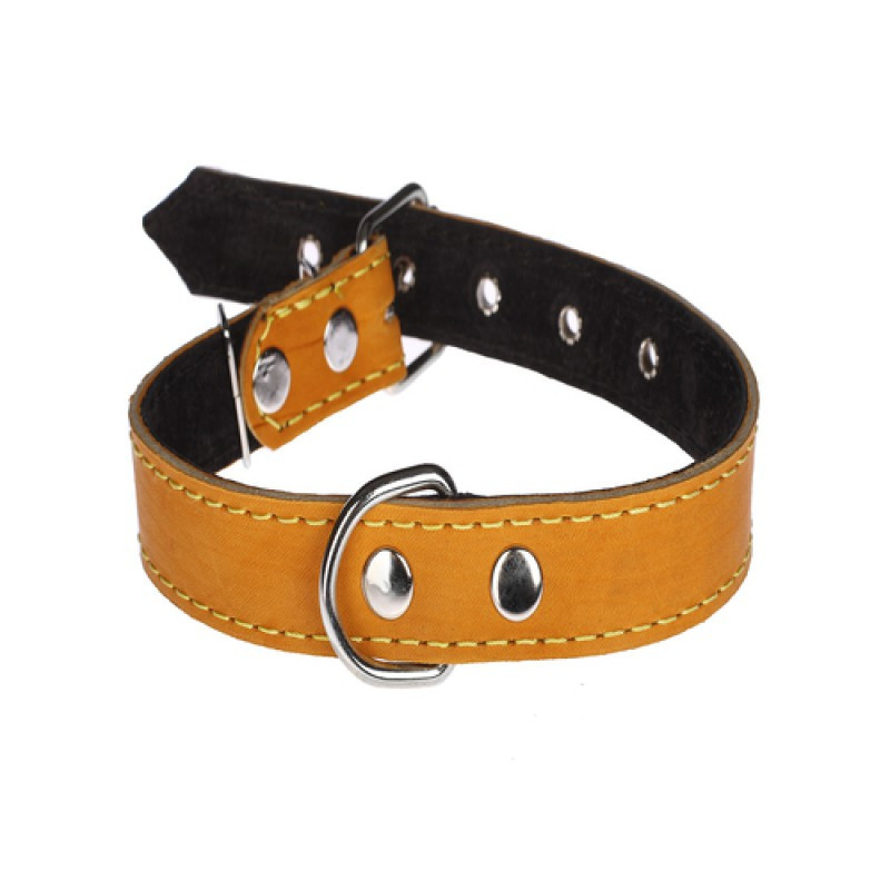 Нашийник 316 25 мм "Класик" шкіряний подвійний Вінниця - фото 1