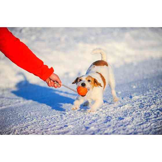 М'ячик ЛАЙКЕР5 Корд на шнурі, діаметр 5 см Вінниця