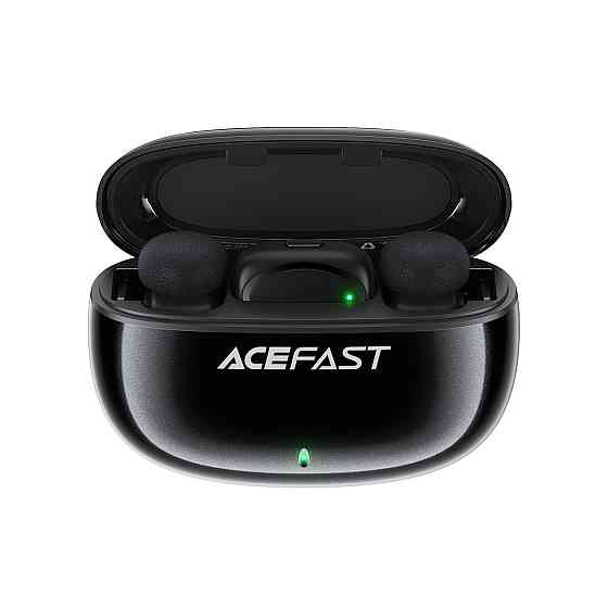 Бездротова мікрофонна система ACEFAST R2 dual-mic (Type-C) Black Київ