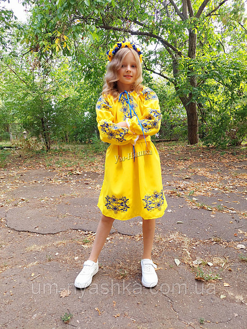 Сукня вишиванка жовто-синя Кривий Ріг - фото 5