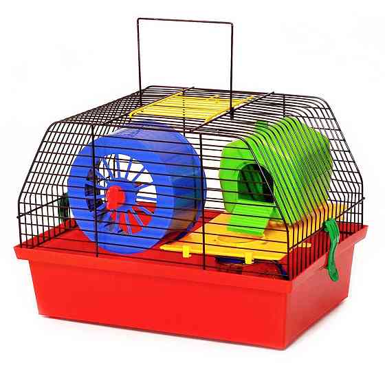 Металева клітка для малих грузунів Вілла Люкс 1 з аксесуарами (33.5 х 22.5 х 22.7 см), Лорі Київ