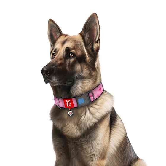 Нашийник для собак нейлоновий WAUDOG Nylon з QR паспортом, малюнок "Диво-жінка 1", пластиковий фастекс, XXL, Вінниця