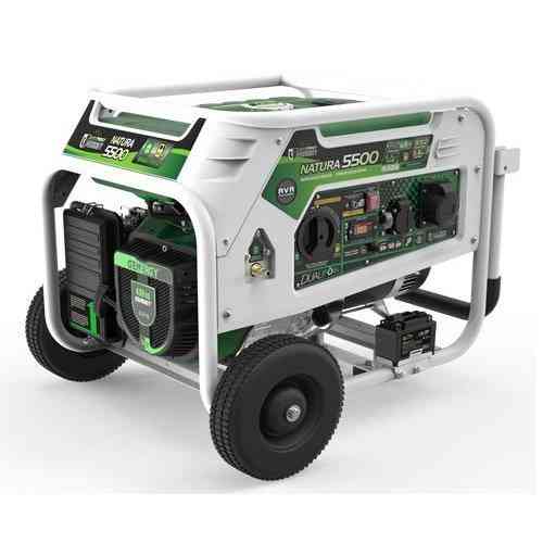 Генератор газ - бензин GENERGY NATURA 5000 5,5/5 кВт Одесса