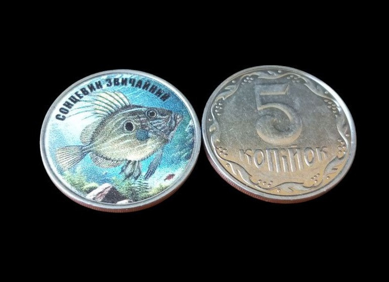 Україна 5 копійок монета нової серії ПРИРОДА УКРАЇНИ СОНЦЕВИК ЗВИЧАЙНИЙ Полтава - изображение 1