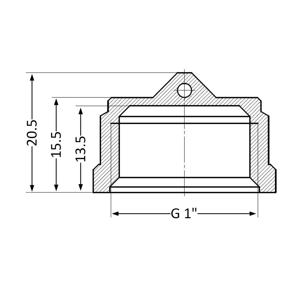 Заглушка Thermo Alliance Standart 1" ВР SD40225 Київ - фото 2