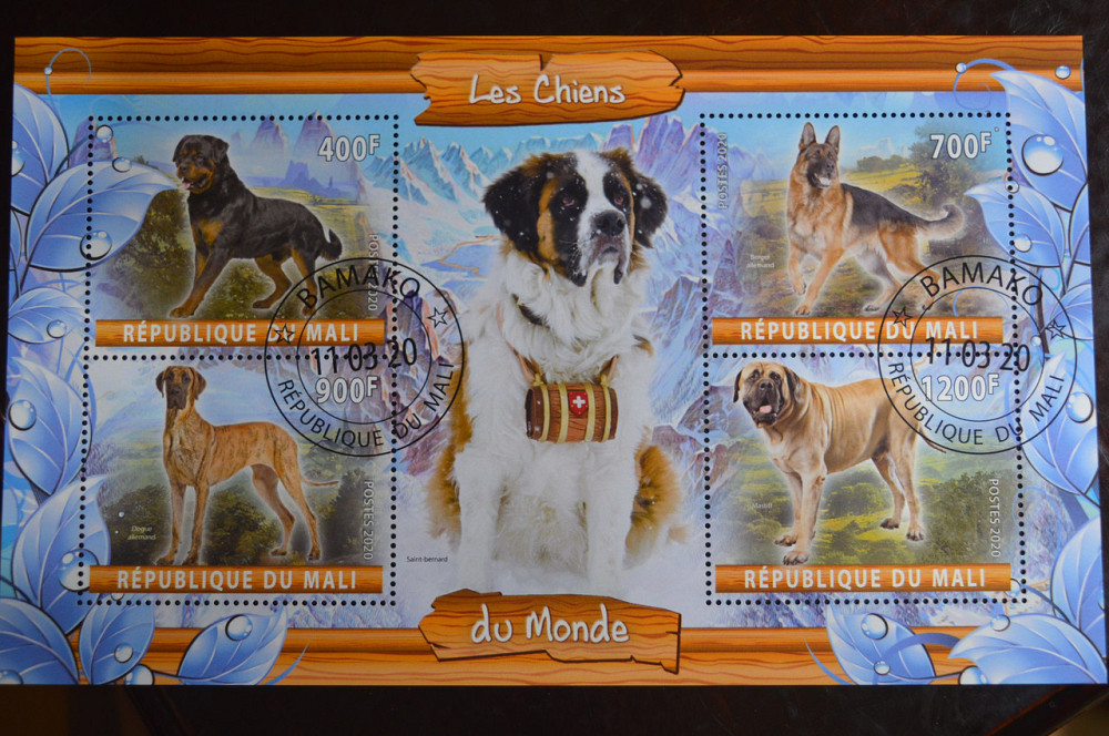 Мали. Марки. Фауна. Блок. 2020 год (В-2) Полтава - изображение 1