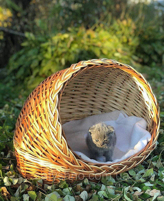 Плетений будинок для кішки Київ - фото 2