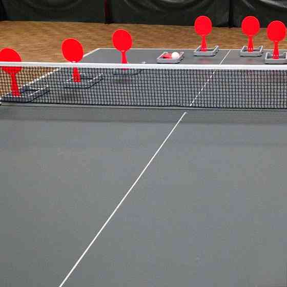 Тренувальний набір для настільного тенісу Gewo Flip-Paddle Set (109180000) Київ